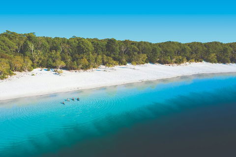 Lake McKenzie Full-Day Tour With Lunch From Hervey Bay - Rental Cars 4