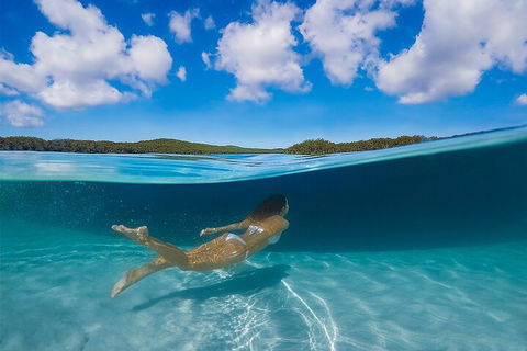 Lake McKenzie Full-Day Tour With Lunch From Hervey Bay - Rental Cars 5