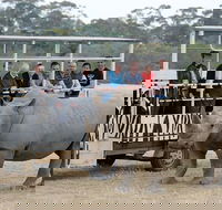 Off-Road Safari at Werribee Open Range Zoo - Rental Cars