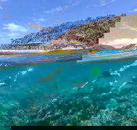 Great Barrier Reef Scenic Flight and Ocean Rafting Whitehaven Beach Day Trip - Rental Cars