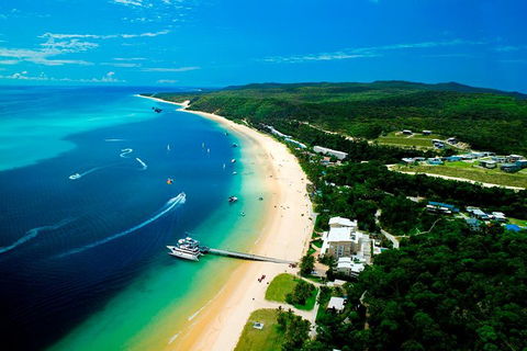 Tangalooma Island Resort Whale Watching Day Cruise - Rental Cars 2