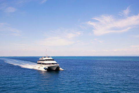 Tangalooma Island Resort Whale Watching Day Cruise - Rental Cars 5