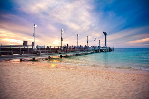 Tangalooma Island Resort Whale Watching Day Cruise With Dolphin Viewing - Rental Cars 3