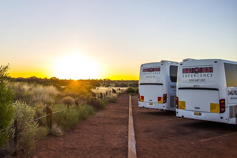 Uluru And Kata Tjuta Experience With BBQ Dinner - Rental Cars 2