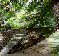 12 Apostles Eco-Friendly Great Ocean Road Iconic Adventure from Melbourne - Rental Cars