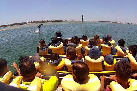 Gold Coast 55 Minute Adventure Jet Boat Ride - Rental Cars 0