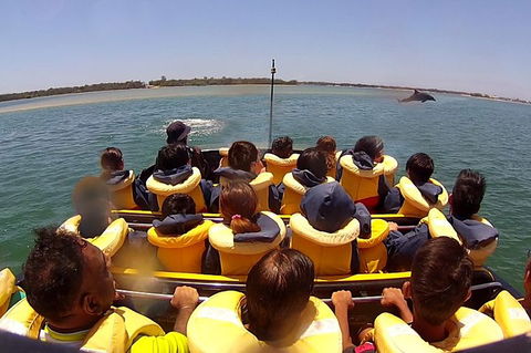 Jet Boat Express Ride - 30mins - Rental Cars 5
