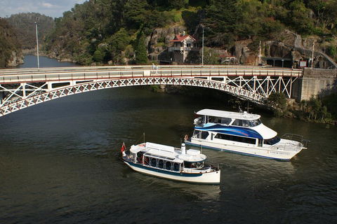 2.5 Hour Morning Discovery Cruise Including Sailing Into The Cataract Gorge - Rental Cars 5