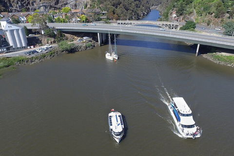 2.50 Hour Afternoon Discovery Cruise Including Cataract Gorge Departing At 3 Pm - Rental Cars 3
