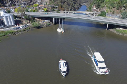 2.50 Hour Afternoon Discovery Cruise Including Cataract Gorge Departing At 3 Pm - Rental Cars 5