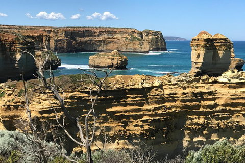 Great Ocean Road Reverse Itinerary Tour - Rental Cars 1