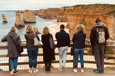 Great Ocean Road Reverse Itinerary Tour - Rental Cars 2