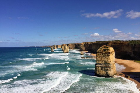 Great Ocean Road Reverse Itinerary Tour - Rental Cars 4