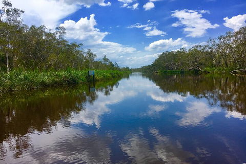 Noosa Everglades Serenity Cruise & Highlights Tour Inc. Lunch & Cruise - Rental Cars 0