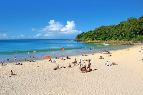 Noosa Everglades Serenity Cruise & Highlights Tour Inc. Lunch & Cruise - Rental Cars 4