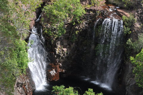 Litchfield And Jumping Crocodiles Full Day Trip From Darwin - Rental Cars 2