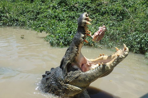 Litchfield And Jumping Crocodiles Full Day Trip From Darwin - Rental Cars 3