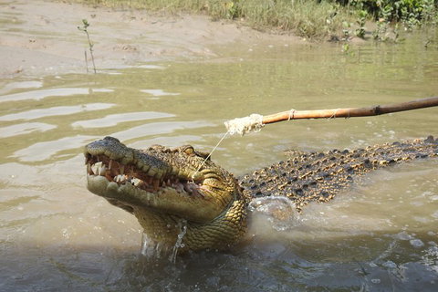 Litchfield And Jumping Crocodiles Full Day Trip From Darwin - Rental Cars 4