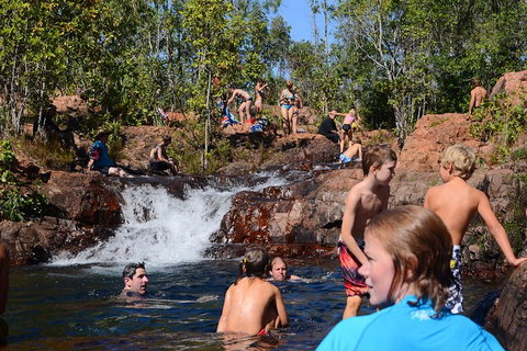 Litchfield And Jumping Crocodiles Full Day Trip From Darwin - Rental Cars 5