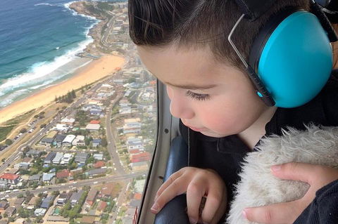 Sydney Harbour Scenic Flight - Rental Cars 1