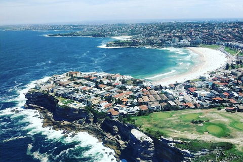 Sydney Harbour Scenic Flight - Rental Cars 2