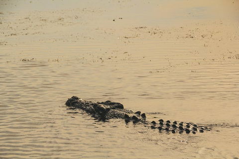 Yellow Water Cruise - Kakadu - Rental Cars 2