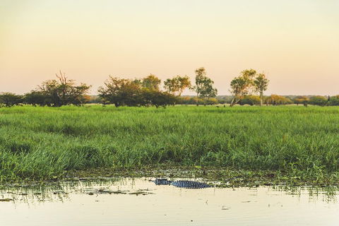 Yellow Water Cruise - Kakadu - Rental Cars 3