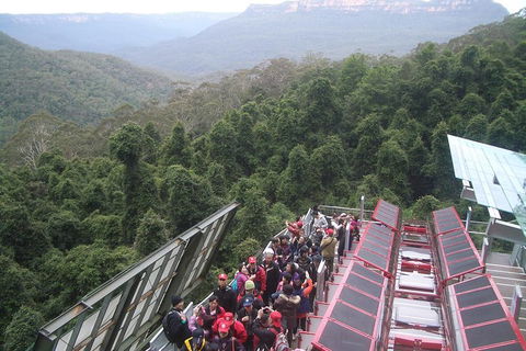 Blue Mountains Private Tour With Wildlife Park And River Cruise - Rental Cars 1