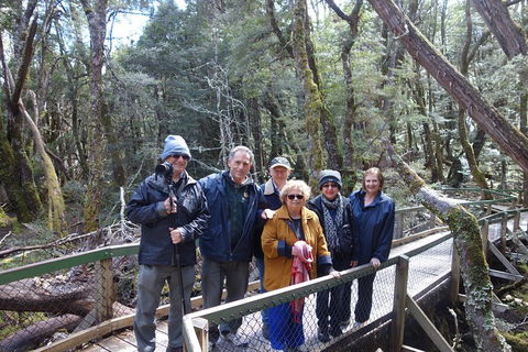 Blue Mountains Private Tour With Wildlife Park And River Cruise - Rental Cars 2