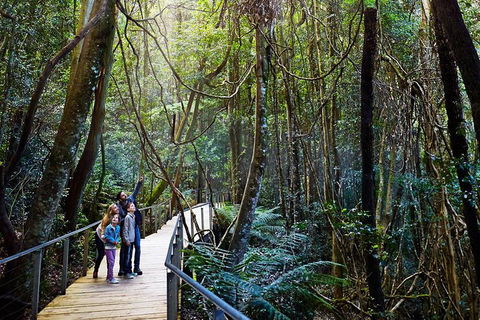 Blue Mountains Private Tour With Wildlife Park And River Cruise - Rental Cars 4