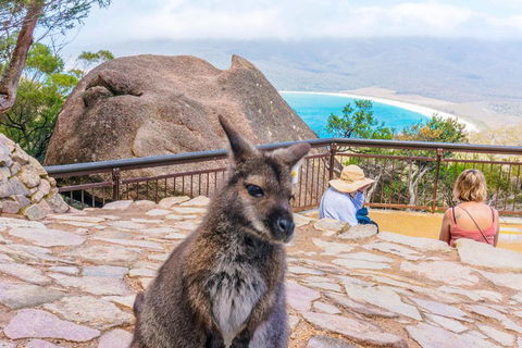 Wineglass Bay & Freycinet NP Full Day Tour From Hobart Via Richmond Village - Rental Cars 0