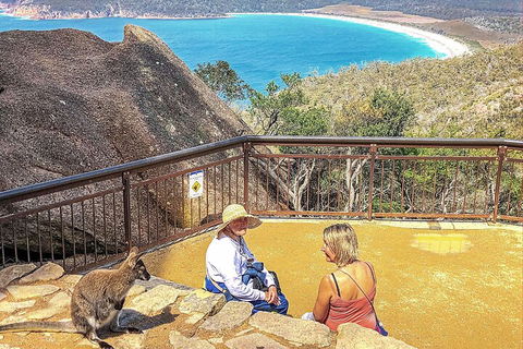 Wineglass Bay & Freycinet NP Full Day Tour From Hobart Via Richmond Village - Rental Cars 1