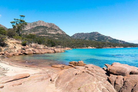 Wineglass Bay & Freycinet NP Full Day Tour From Hobart Via Richmond Village - Rental Cars 5