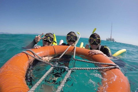 Full-Day Great Barrier Reef Sailing Trip - Rental Cars 0