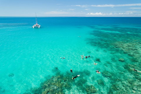 Full-Day Great Barrier Reef Sailing Trip - Rental Cars 2