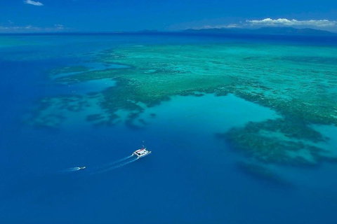 Full-Day Great Barrier Reef Sailing Trip - Rental Cars 3
