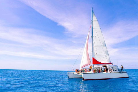 Full-Day Great Barrier Reef Sailing Trip - Rental Cars 4