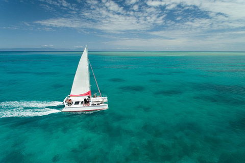 Full-Day Great Barrier Reef Sailing Trip - Rental Cars 5