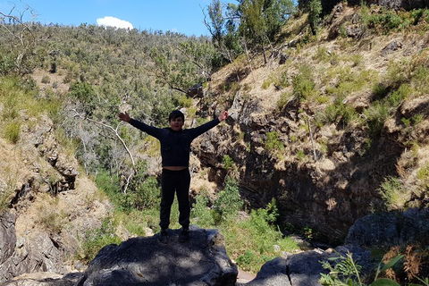Grampians & Halls Gap - Rental Cars 1