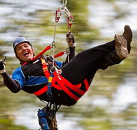12 Apostles and Otway Fly Zipline Day Trip from Melbourne - Rental Cars