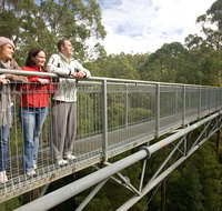 Adventure Sunset Three Day Great Ocean Road Tour - Rental Cars