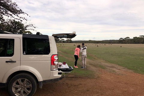 Kangaroo Island 4WD Tour - Flinders Chase - Rental Cars 3
