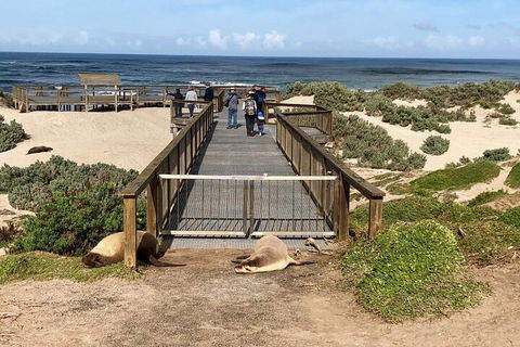 Kangaroo Island 4WD Tour - Best Of KI - Rental Cars 2