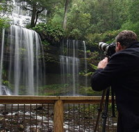 Mt Field and Styx Valley Photography Tour - Rental Cars