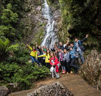 5-Day Lap of Tasmania Tour from Hobart flexible ticket - Rental Cars