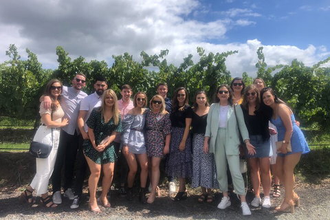 Yarra Valley Public Winery Tours - Rental Cars 3