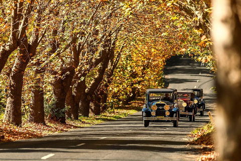 Blue Mountains Vintage Cadillac Tour With Local Guide - Rental Cars 1