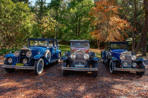 Blue Mountains Vintage Cadillac Tour With Local Guide - Rental Cars 4