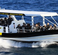 Mooloolaba Whale Watching Tour - Rental Cars