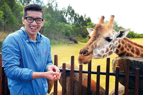 Croc Express To Australia Zoo From Gold Coast - Rental Cars 1